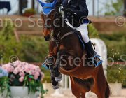 DI PAOLA JACOMA ItaAss2013- S5 1114 : Campionati Italiani 2013, Cattolica, DI PAOLA MARCO, Horse Riviera Resort, JAMACOMA, foto di Stefano Secchi ©